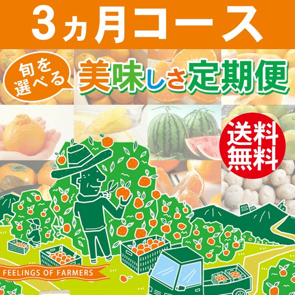 旬を選べる美味しさ定期便 3ヵ月コース 愛媛県・宇和島産 みかん柑橘＆野菜 送料無料※一部地域を除く