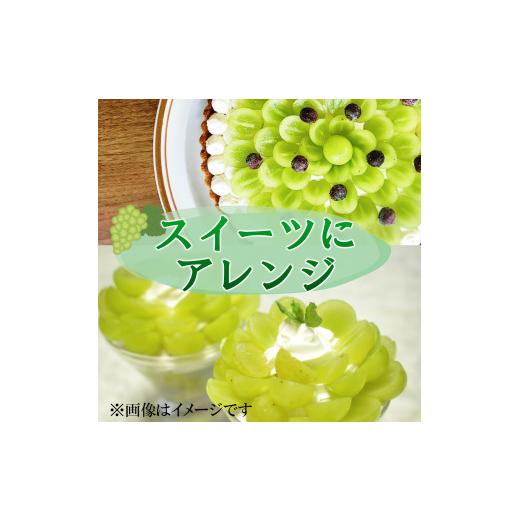 ふるさと納税 山梨県 大月市 山梨県産シャインマスカット　2房　1kg以上　※2024年9月から発送