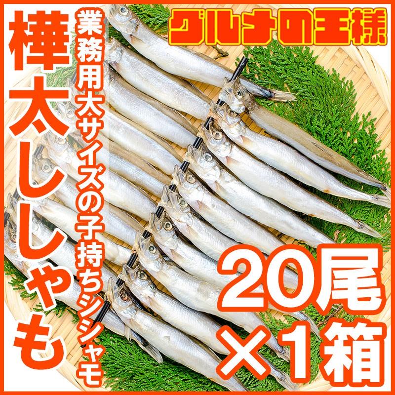 子持ちからふとししゃも 20尾（大サイズ）