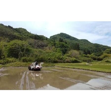 ふるさと納税 立神米こしひかり（白米）15kg 茨城県 大子町 コシヒカリ 米 茨城県大子町