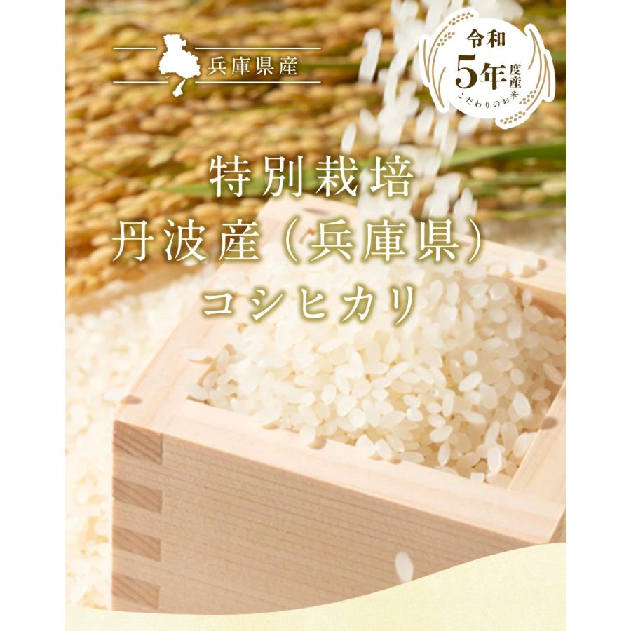 新米 特別栽培  丹波産（兵庫県）コシヒカリ5kg（5kg×1袋）  送料無料 令和5年産 特別栽培 精米 お米 （北海道・沖縄別途送料）（配達日・時間指定は不可）