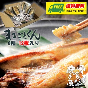 マルコーフーズ まるごとくん 骨まで食べられる焼き魚 6種 12袋セット