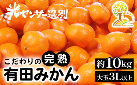 ＼光センサー選別／ 農家直送　有田みかん　約10kg 大玉3L以上　有機質肥料100%※着日指定不可※北海道・沖縄・離島への配送不可※2023年11月中旬～2024年1月上旬頃に順次発送予定