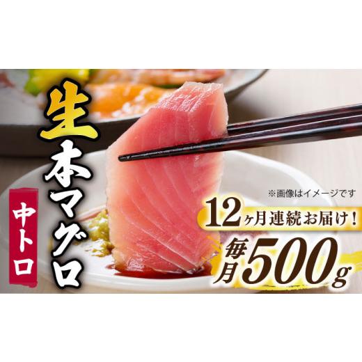 ふるさと納税 長崎県 新上五島町  五島列島産 養殖 生本かみまぐろ 中トロ ブロック 500g【カミティバリュー…