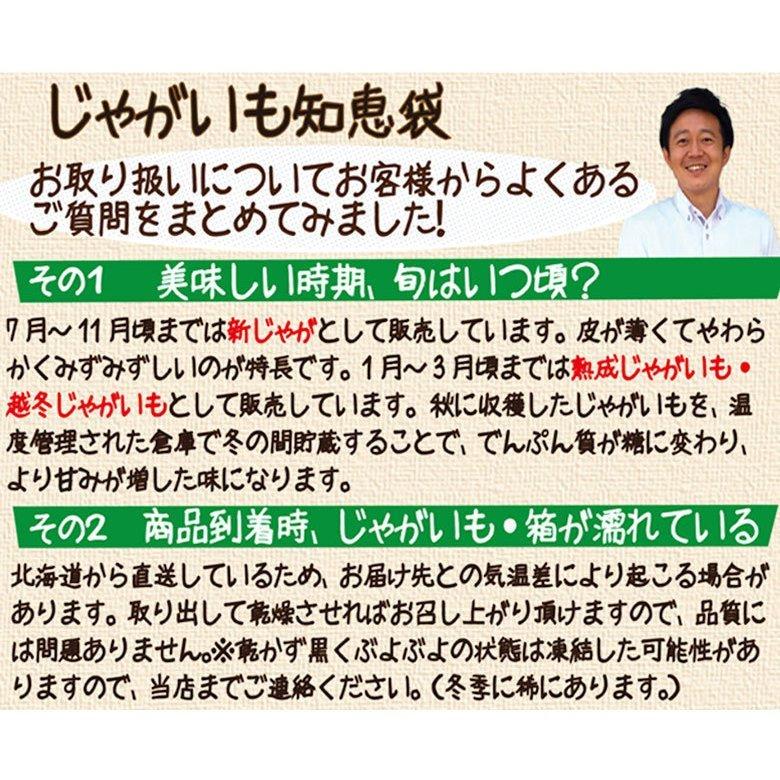 じゃがいも  北海道 きたあかり 新じゃが 送料無料 混玉５ｋｇ 産地直送 ジャガイモ