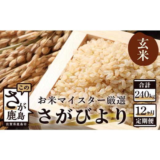 ふるさと納税 佐賀県 鹿島市 V-12 《12ヶ月定期便》鹿島市産さがびより　玄米（毎月２０ｋｇ×１２回）