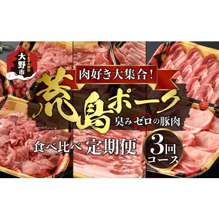 ふるさと納税 肉好き大集合！臭みゼロの豚肉「荒島ポーク」食べ比べ 定期便！ 福井県大野市