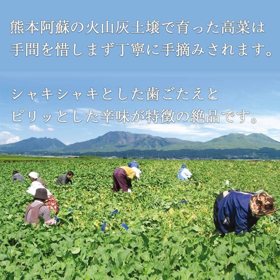 高菜 ごまたかな 高菜漬け 120g 熊本 漬物 お取り寄せ