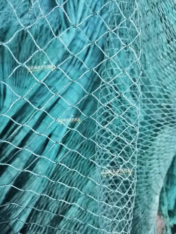 養雞網家禽養殖網山雞網尼龍網防鳥網球場網護欄網天網頂網爬藤網