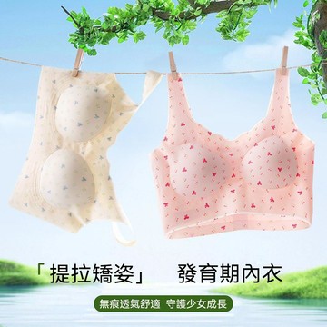 台灣现貨 法式內衣 少女內衣 固定杯內衣 美背內衣 運動內衣 吊帶背心內衣 聚攏提拉內衣 無鋼圈內衣 舒適透氣內衣