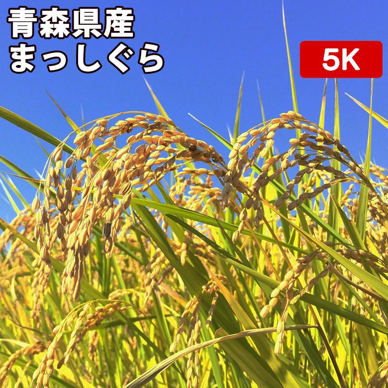 玄米 5kg 真空パック（5kg×1袋）青森県産 まっしぐら 令和4年産 精米無料 真空パック無料 送料無料