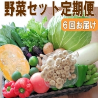 定期便 旬の新鮮野菜セットBたっぷり15品以上