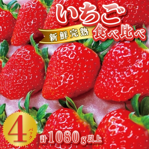 いちご食べ比べ 4パック 合計1080g以上