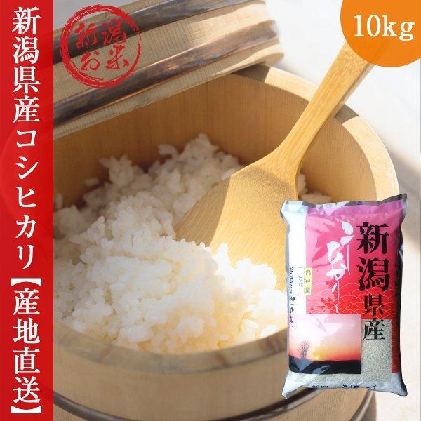 新潟コシヒカリ 10kg 新米 令和5年産 5kg×2袋 こしひかり