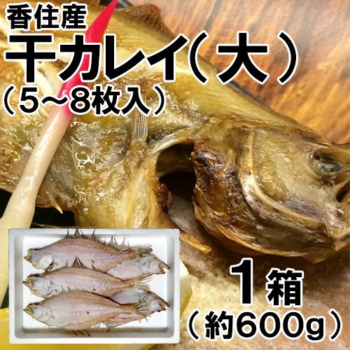 香住産 干カレイ 大 5〜8枚 約600g かれい カレイ 鰈 干物 ひもの お取り寄せ ギフト