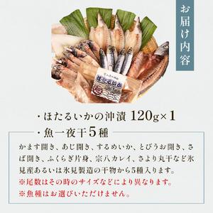 ふるさと納税 氷見 堀与 一夜干5種とほたるいかの沖漬 富山県 氷見市 干物 詰め合わせ 食べ比べ セット ホタルイカ 富山県氷見市