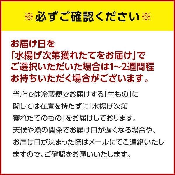 12月16〜17日お届け 生牡蠣 かき カキ 牡蠣 北海道 厚岸産 かきえもん 殻付き 10個 Lサイズ 生食可 鍋 ギフト 内祝 送料無料