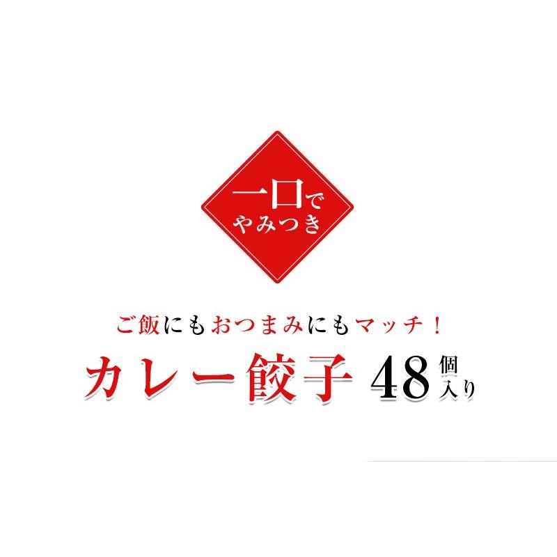 本餃子48個 カレー餃子48個 餃子 ぎょうざ 冷凍餃子 惣菜 点心 お取り寄せ グルメ ご家庭料理 ギフト 敬老の日