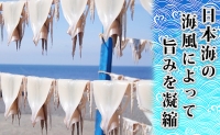 イカ 生干しイカ 4枚（1枚約200g×4枚） 炭火焼きイカ 4パック いか セット 干物 干物セット するめ スルメ スルメイカ 海鮮 魚介類 魚介 海産物 惣菜 青森県 鰺ヶ沢町 ※ご入金確認後 3ヶ月以内の発送になります。