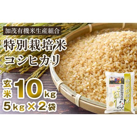 ふるさと納税 新潟県加茂市産 特別栽培米コシヒカリ 玄米10kg（5kg×2）従来品種コシヒカリ 加茂有機米生産組合 コシヒカ.. 新潟県加茂市