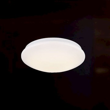 16W 4000K吸頂燈 L01-1967N