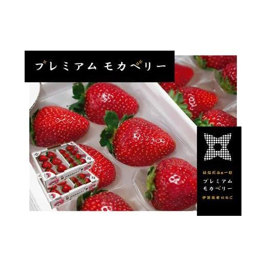 ふるさと納税 三重県 伊賀市 伊賀忍者いちご プレミアムモカベリー 4パックセット（約270g×4）