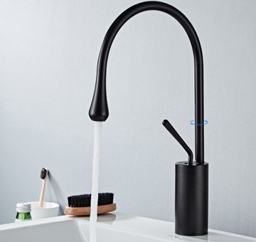 【麗室衛浴】 創意水滴造型 消光黑 煙燻黑 面盆龍頭 F-160-12