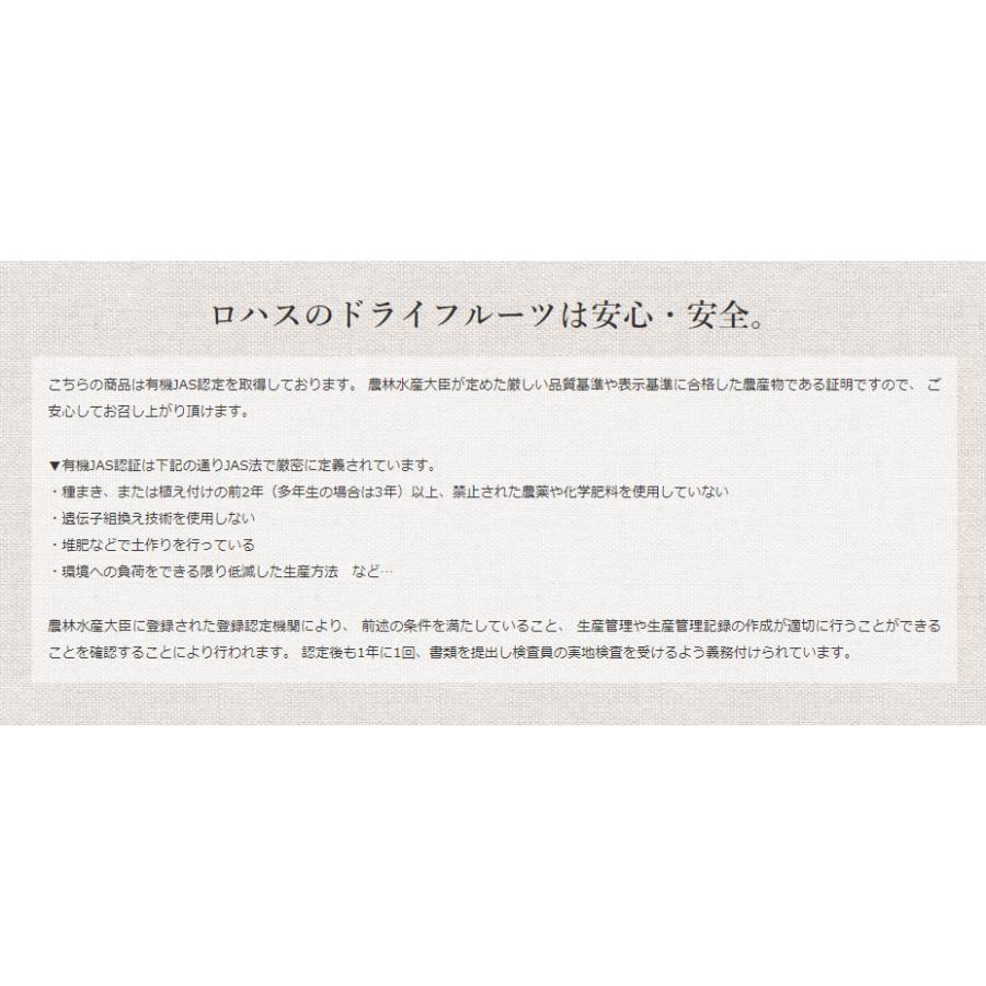 オーガニック・ドライフルーツミックス スーパーフード・ローフード対応 無農薬・無添加 有機JAS認証