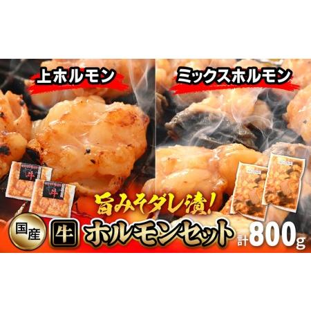 ふるさと納税 国産 牛ホルモン セット 計800g（上ホルモン・ミックスホルモン 各2袋） 旨みそダレ漬け！[e03-a018] 福井県越前町