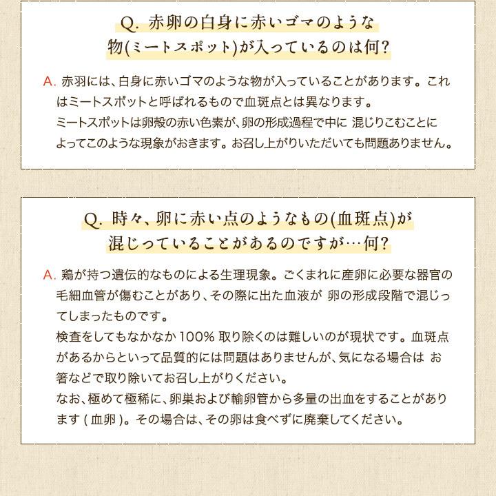 櫛田養鶏場 くしたま 10個入 (赤卵)