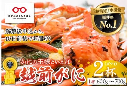 福井冬の味覚！越前がに（600～700g × 2杯）