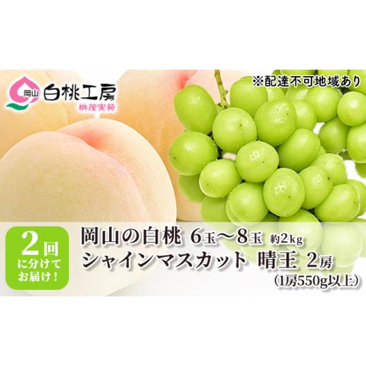 ふるさと納税 岡山県 赤磐市 桃 ぶどう 2024年 先行予約 白桃 2kg シャインマスカット 晴王 2房 1房550g以上 2回に分けてお届け！もも 葡萄 定期便 岡山 国産 …