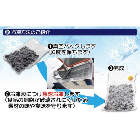 ふるさと納税 急速冷凍！栽培期間中無農薬ブルーベリー600g×3パック　計1.8kg[E2296a] 福岡県福津市