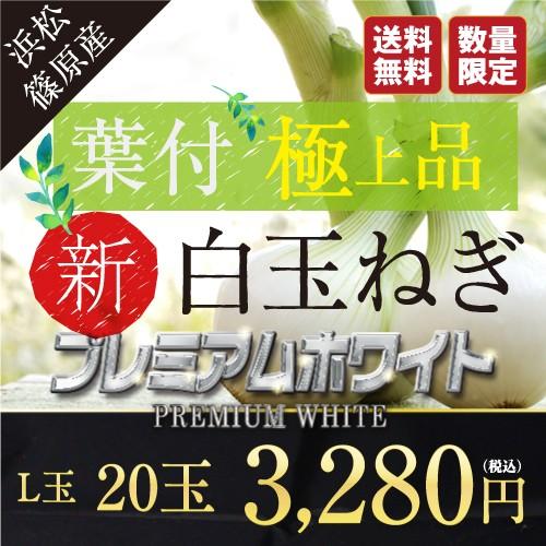 たまねぎ 白玉ねぎ 浜松篠原産プレミアムホワイト 辛くない！芳醇な甘さとみずみずしさが魅力