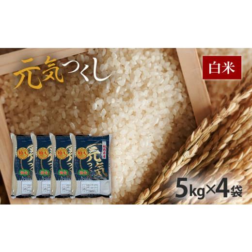 ふるさと納税 福岡県 田川市 新米 令和5年産　福岡県産ブランド米「元気つくし」白米20kg