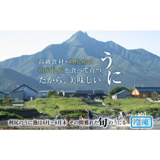 ふるさと納税 北海道 利尻富士町 採れたてをそのまま！キタムラサキウニのルイベ１００ｇ×２P＜利尻漁業協同組合＞