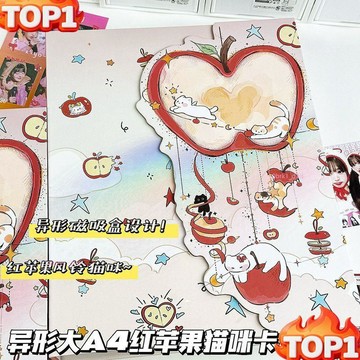 台湾热销 小卡卡冊 九宮格 異形紅蘋果小貓大A4卡冊磁吸盒活頁九宮格超硬外殼追星小卡收納冊