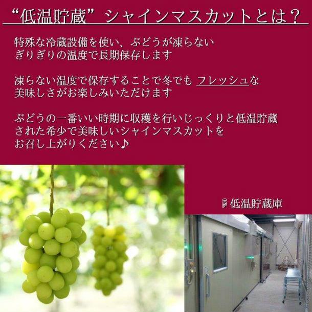 シャインマスカット 贈答箱 1房 700g以上 ぶどう 送料無料 贈り物 ギフト