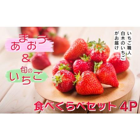 ふるさと納税 いちご職人 白木のいちご 「あまおう2P」と「旬のいちご2P」食べ比べセット 福岡県小郡市