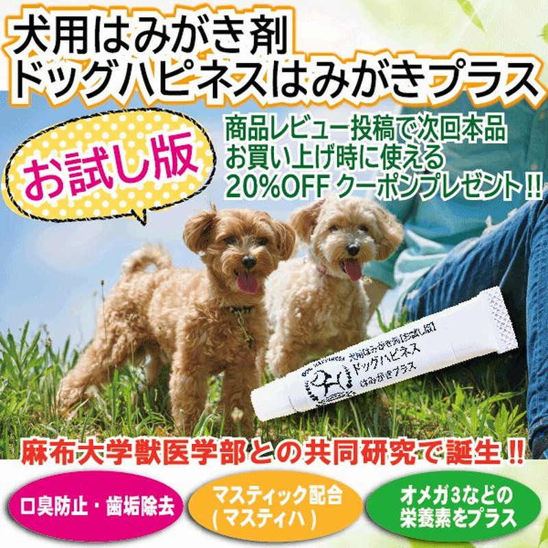 ドッグハピネスはみがきプラスお試し版4g ペット用品 犬 犬用品 デンタルケア用品 歯磨き粉 歯磨きジェル 口臭ケア ジェル 口臭対策 犬 サプリメント 通販 Lineポイント最大0 5 Get Lineショッピング