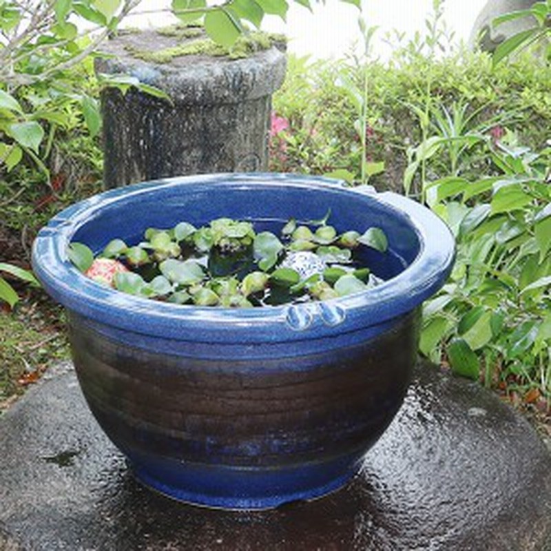 新品 ∅50 陶器 睡蓮鉢 特大 難有 メダカ鉢 水色 ブルー