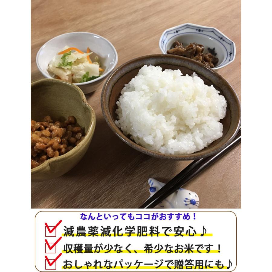 お米 5kg 送料無料 特別栽培米 長岡産コシヒカリ 新潟米 令和４年産  ギフト 内祝い