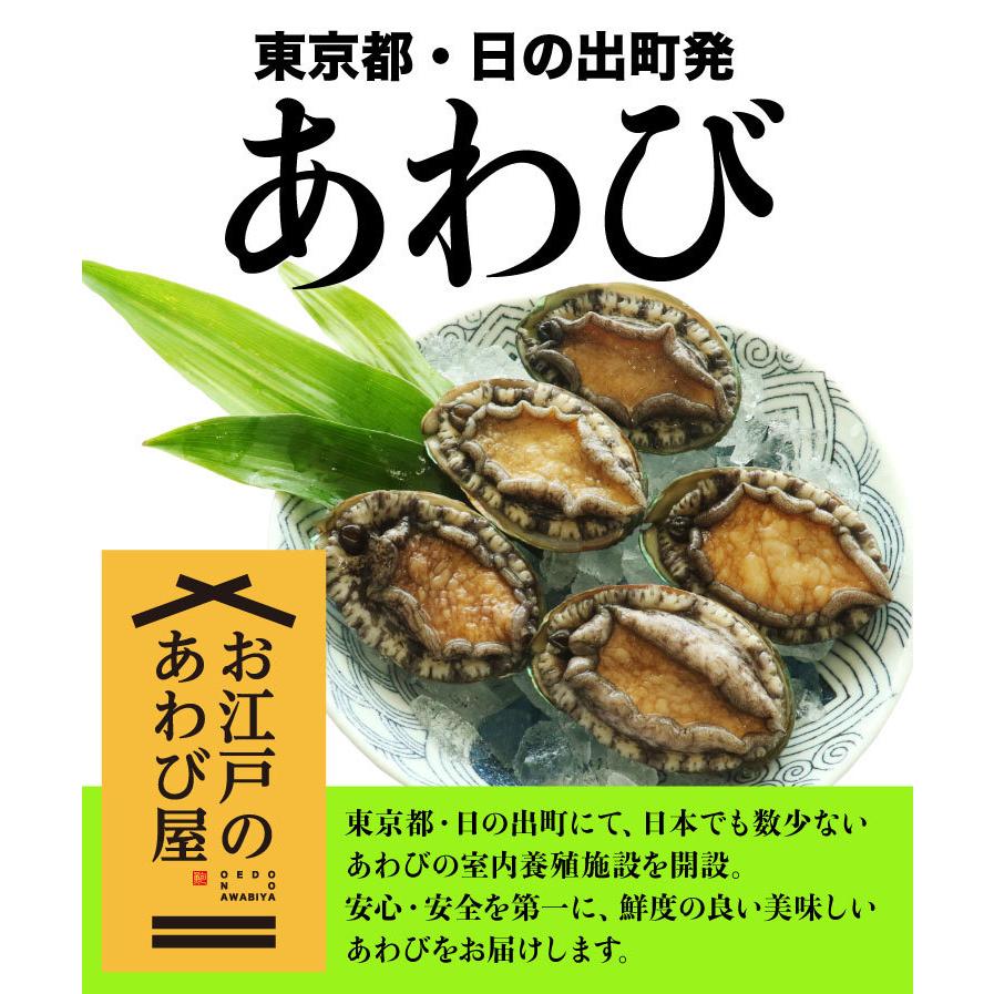 鮮度抜群 活えぞあわび 45g 10枚