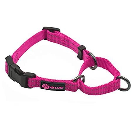 Max and outlet neo martingale collar