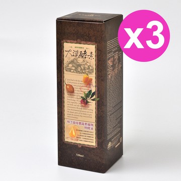 【大漢酵素】樟芝菌絲體蔬果植物醱酵液 720ml/3瓶