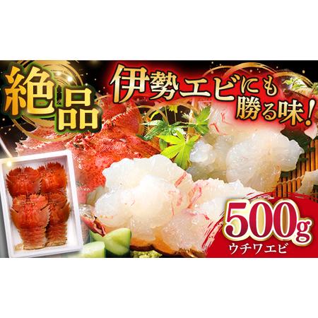 ふるさと納税 ＜12月発送＞平戸 ウチワエビ 三昧 500g[KAA151]  長崎 平戸 魚介類 海老 えび エビ .. 長崎県平戸市