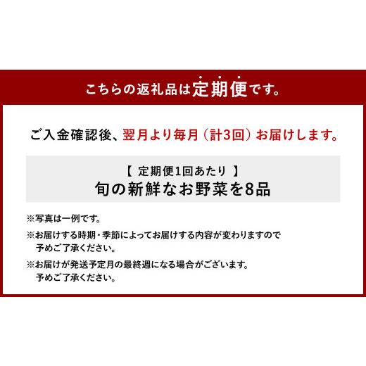 ふるさと納税 宮崎県 えびの市 特別栽培 季節のお野菜セット 8品 おまかせ やさい