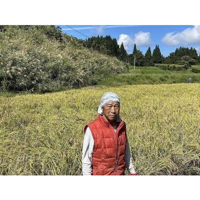 ふるさと納税 食味鑑定士が選ぶ　日本棚田百選のお米　天空の里・魚沼産こしひかり　５kg×４ 新潟県