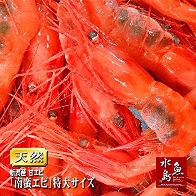 魚水島 新潟産「特上・特大甘エビ」（南蛮エビ・刺身用）1kg (冷凍)