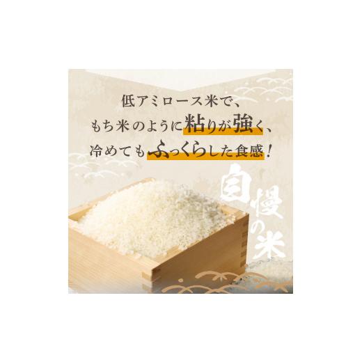 ふるさと納税 山梨県 富士吉田市 富士吉田の美味しいお米 ミルキークイーン 5kg×2袋